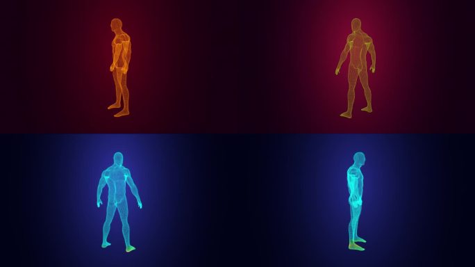 扫描人体三维线框人体三维动画视频素材人体