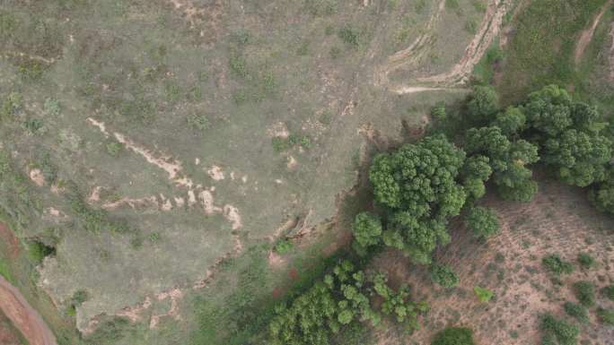 榆林麻黄梁黄土地质公园陕北地貌沟壑19