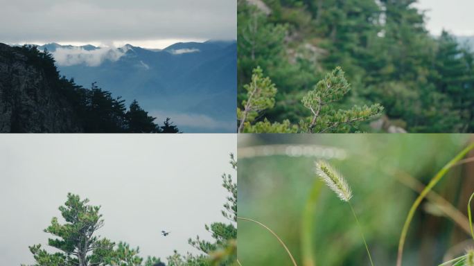 大美 自然大自然 云雾 雾 山水