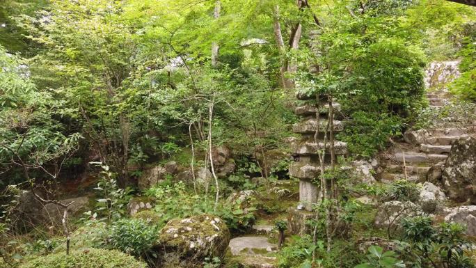 手持拍摄的禅宗氛围中，有石头和本土树木的日本青翠寺庙花园
