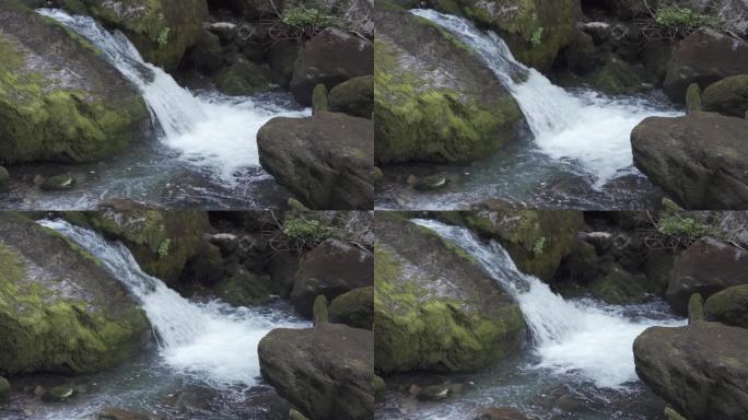 纯净的水流流过长满苔藓的岩石-慢动作