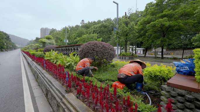 公路绿化道路公路养护