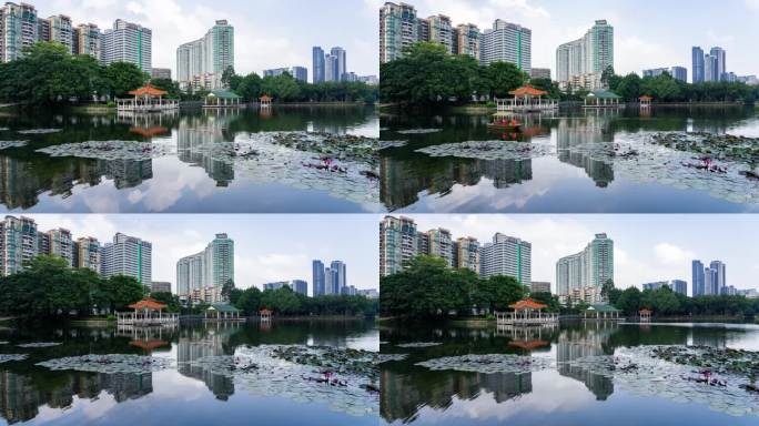 广州荔湾湖公园湖泊景观延时摄影4k