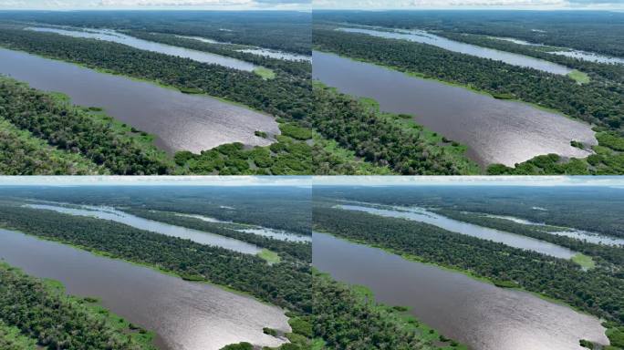 令人惊叹的亚马逊森林景观在巴西亚马逊州。