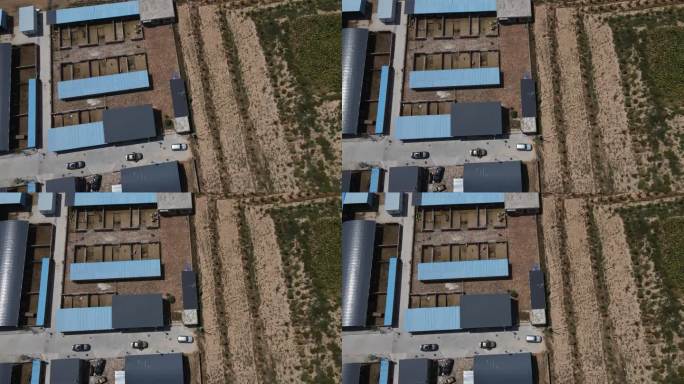 陕北羊棚养殖15