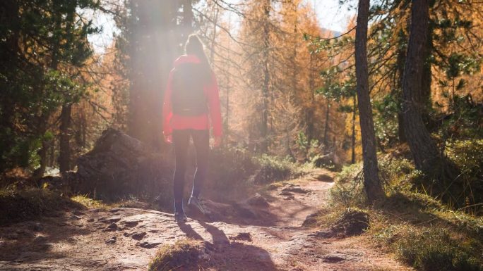 秋天，一个健康的女人在充满活力的阳光下的森林小径上徒步旅行