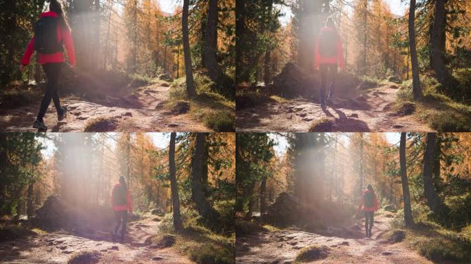秋天，一个健康的女人在充满活力的阳光下的森林小径上徒步旅行
