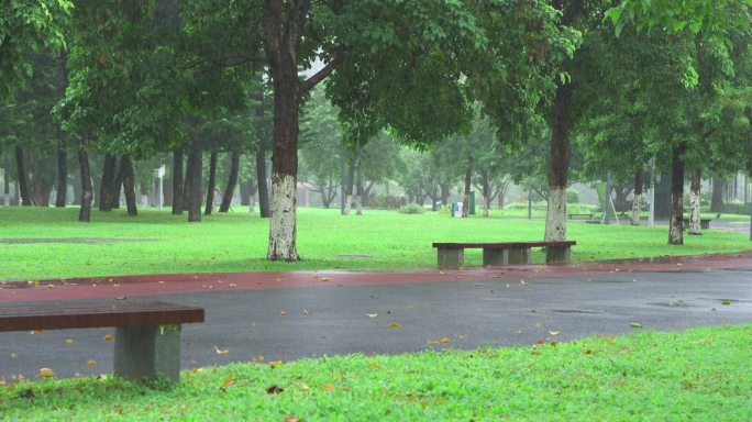 园林雨景-高速摄影