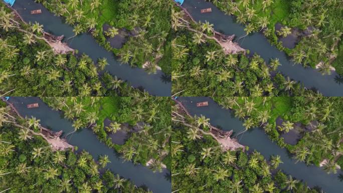 马辛河弯棕榈树绳荡秋千，在锡亚高岛用跳水板和竹筏。对称空中构图