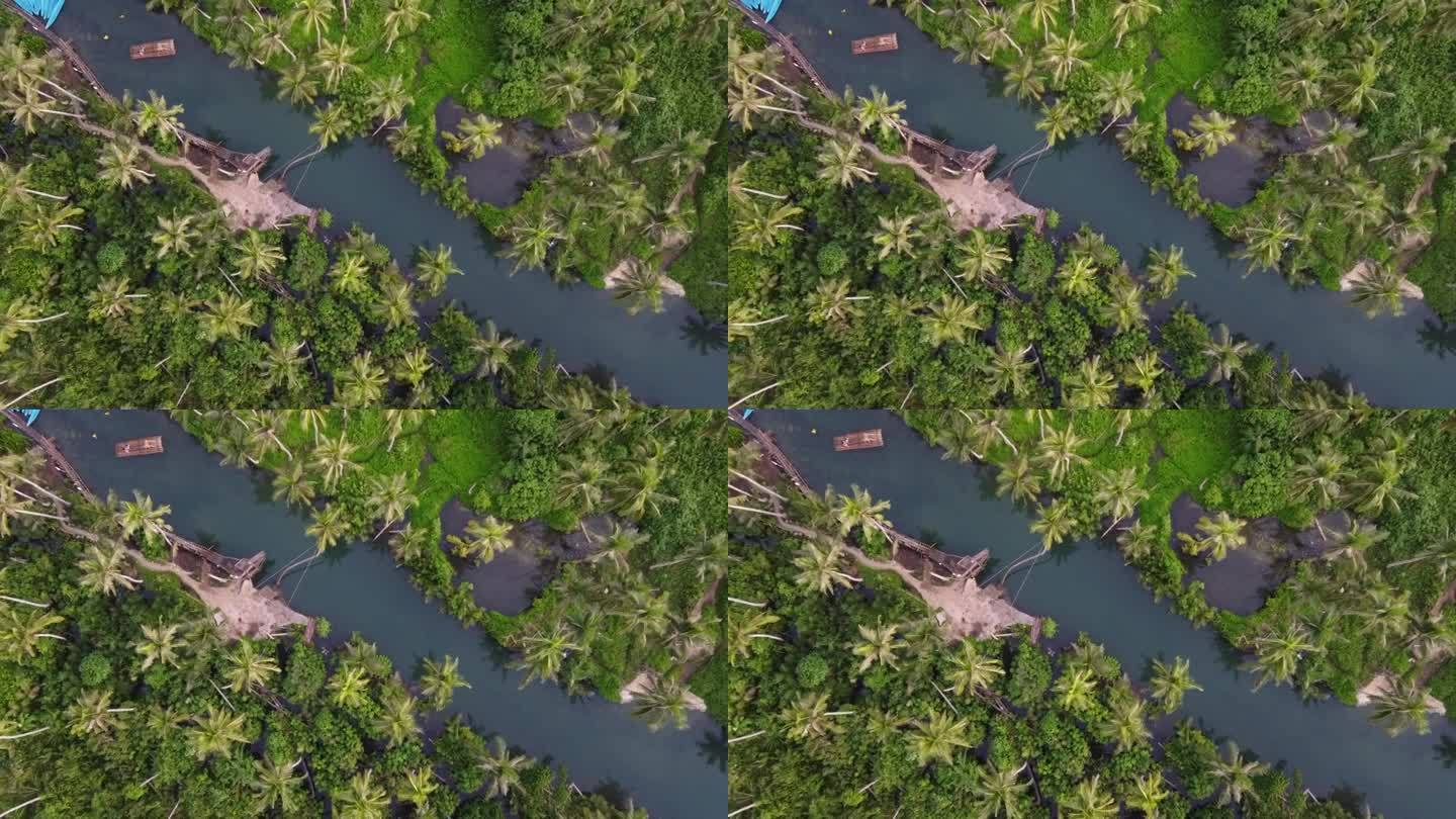马辛河弯棕榈树绳荡秋千，在锡亚高岛用跳水板和竹筏。对称空中构图