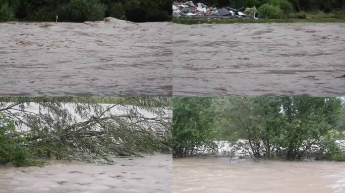 河水溢出堤岸，冲垮了周围的树木。