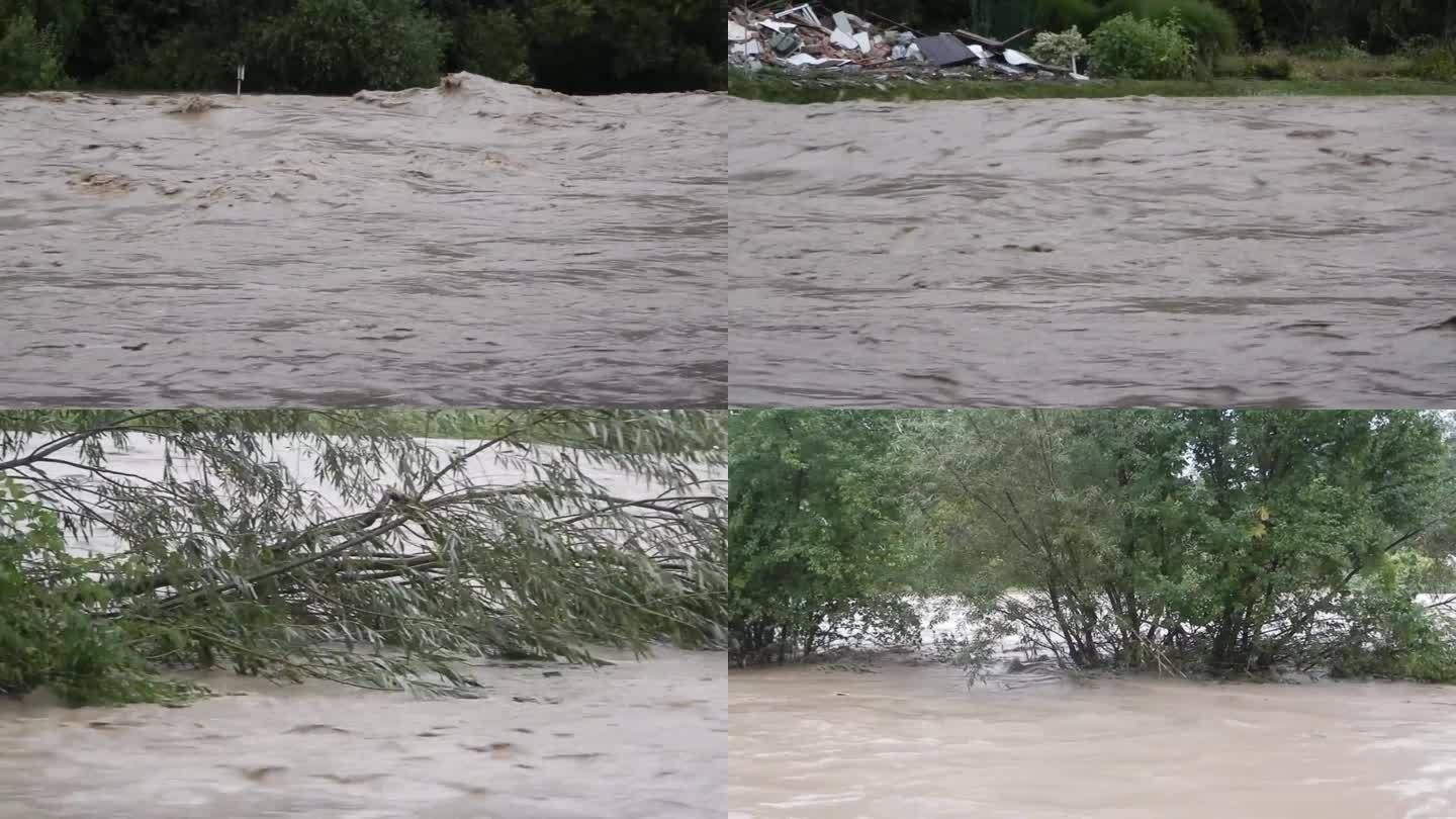 河水溢出堤岸，冲垮了周围的树木。