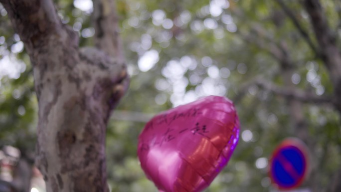 挂在树上的红色爱心气球