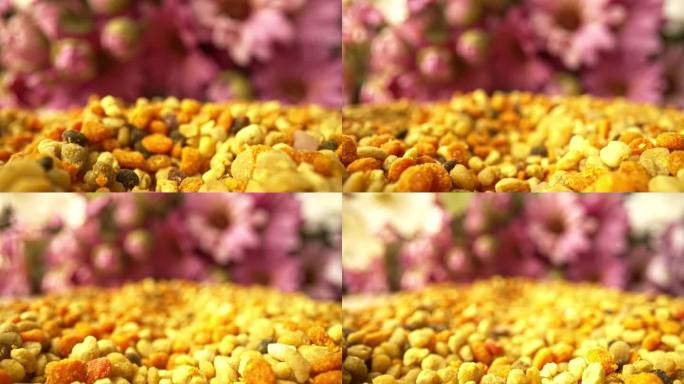 蜜蜂微距探针镜头采集的花粉