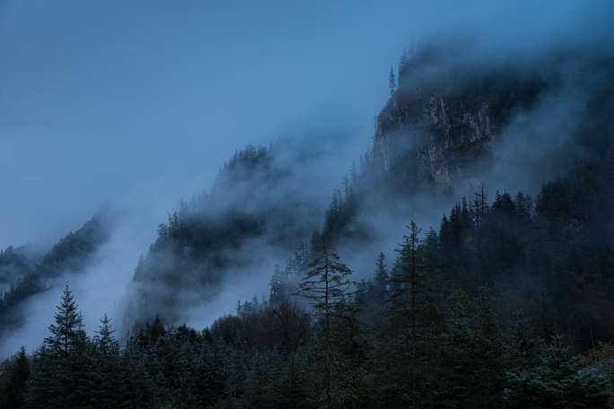 毕棚沟 山林清晨