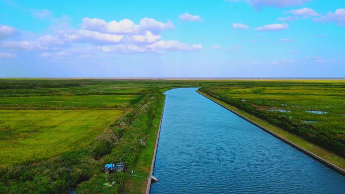 上海滴水湖南汇嘴观海公园草地全景航拍