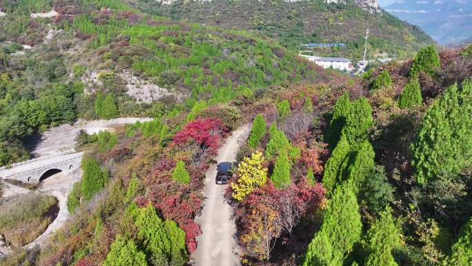 济南八里峪红叶