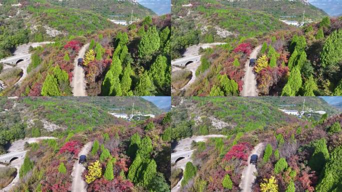 济南八里峪红叶