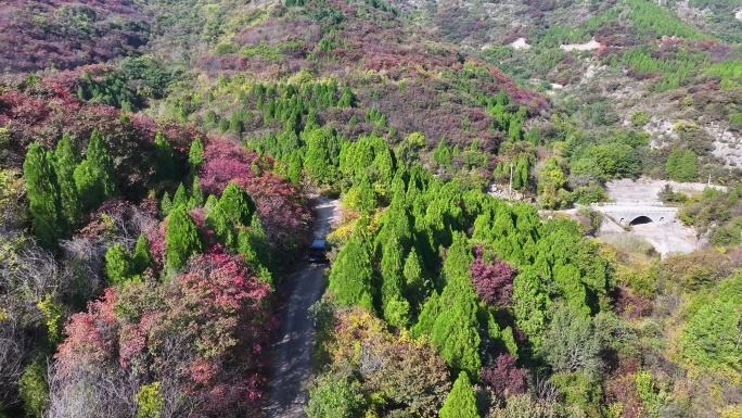 济南八里峪红叶