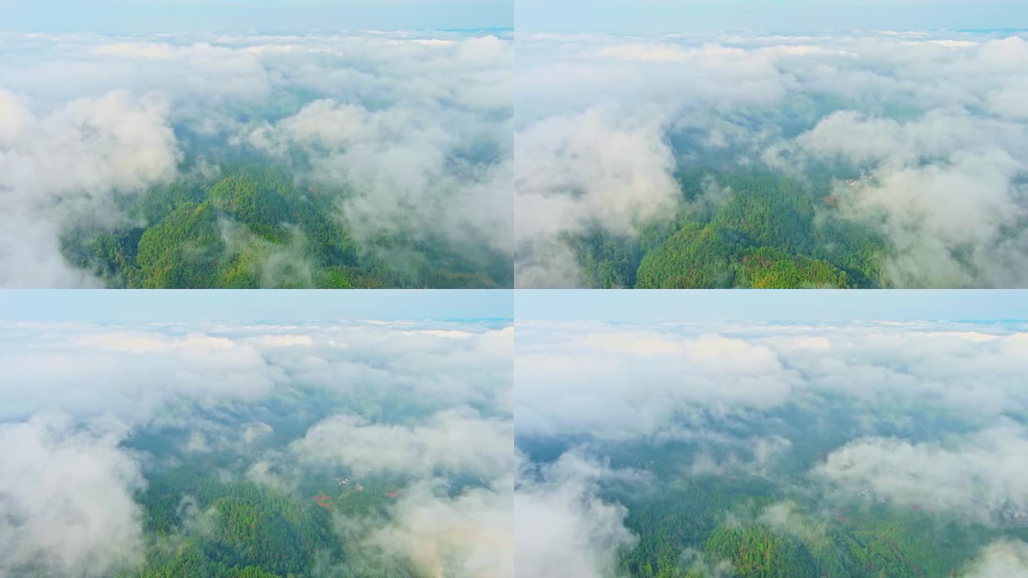 穿云云上俯瞰云朵云海云端6K视频06