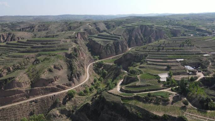 陕西陕北牧草场9