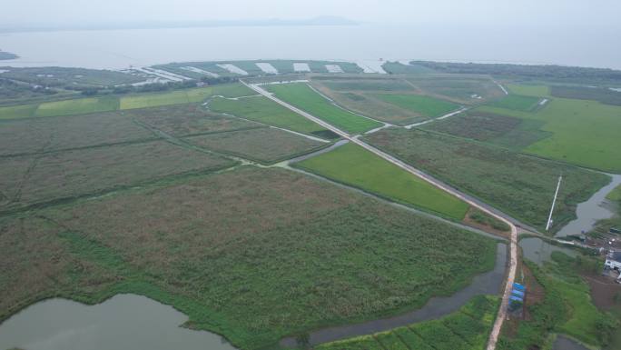 肥东十八联圩湿地南淝河大桥航拍4K