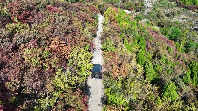 济南八里峪红叶