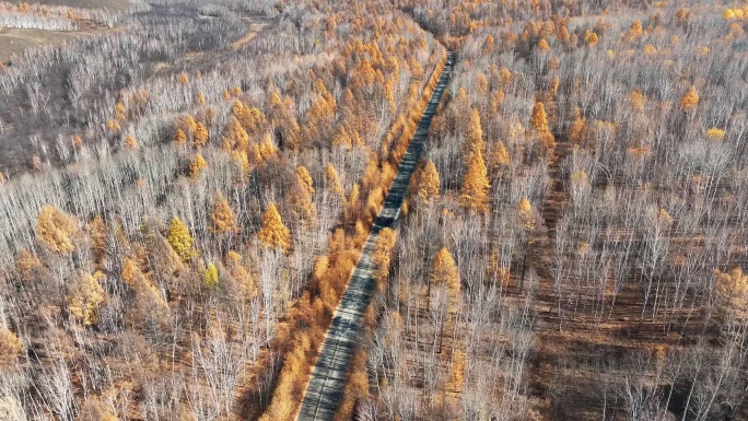 呼伦贝尔大兴安岭根白公路秋季航拍4K风景