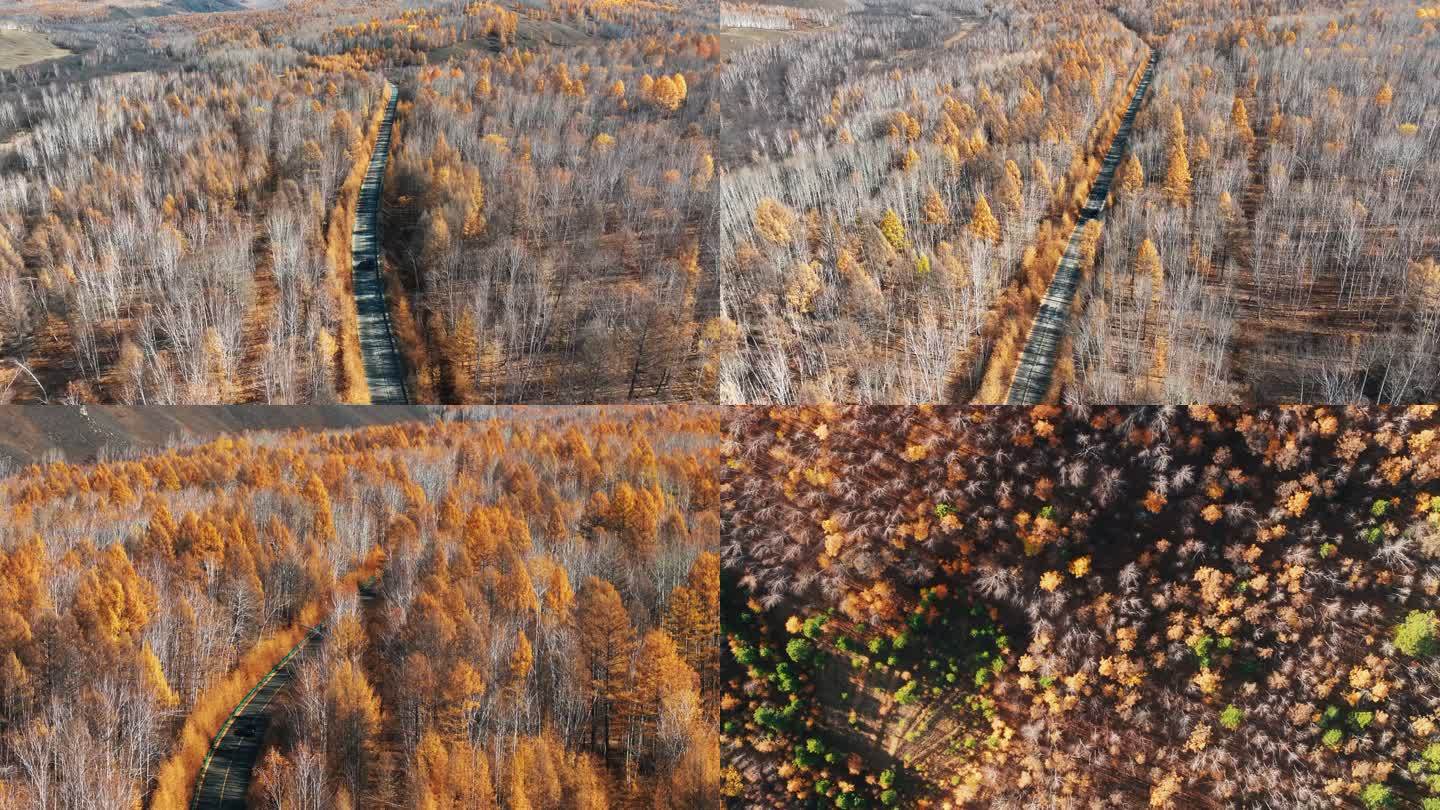 呼伦贝尔大兴安岭根白公路秋季航拍4K风景