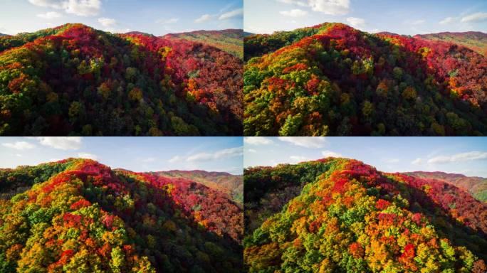 【高清6K】大自然秋景