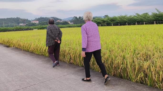 田野硬化路散步的老太太农民休闲的幸福生活
