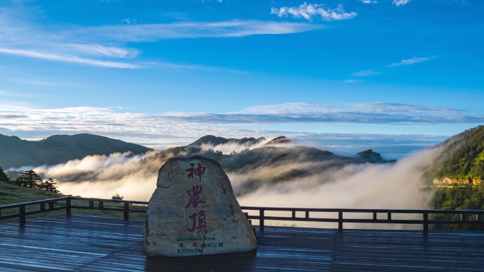 湖北神农架神农顶景区原始森林云海延时