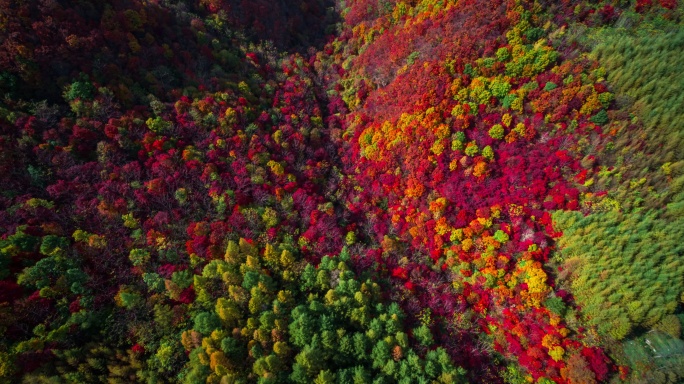 【高清6K】大自然秋景