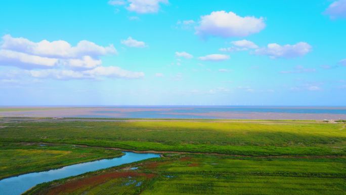 上海滴水湖南汇嘴观海公园草地全景航拍