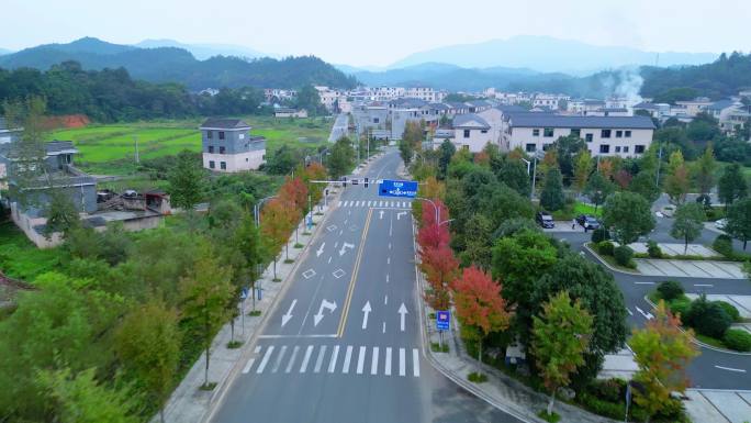 道路秋色  秋风起