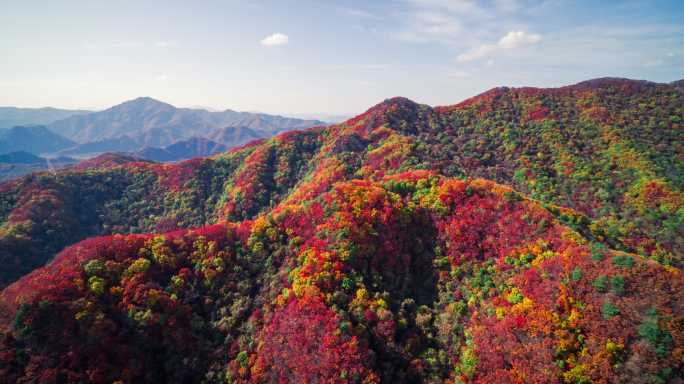 【高清6K】大自然秋景