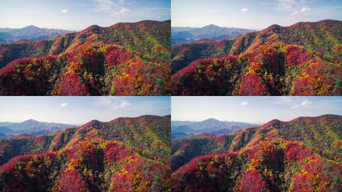 【高清6K】大自然秋景