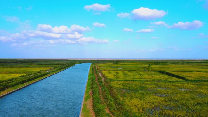 上海滴水湖南汇嘴观海公园草地全景航拍