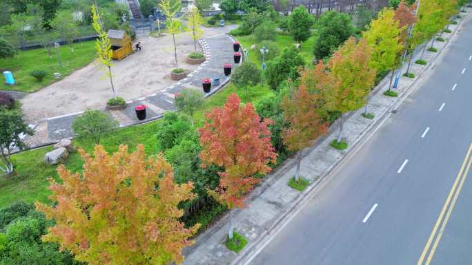 道路秋色  秋风起