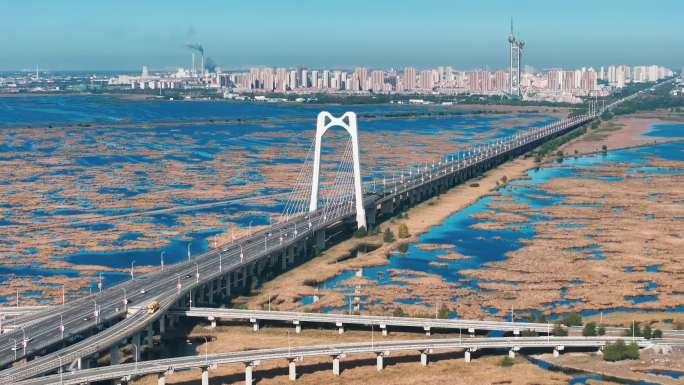 黑龙江大庆市湿地大桥秋季风景航拍4K