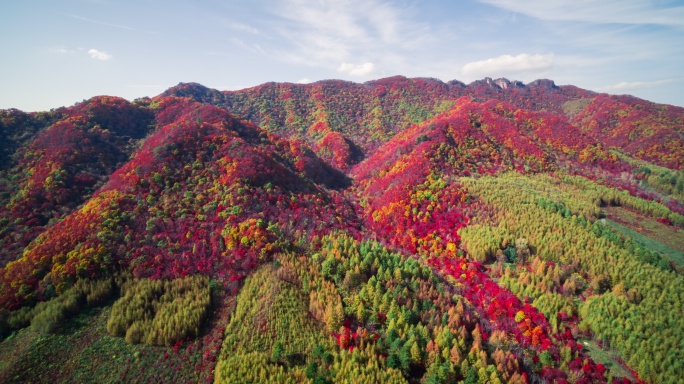 【高清6K】大自然秋景