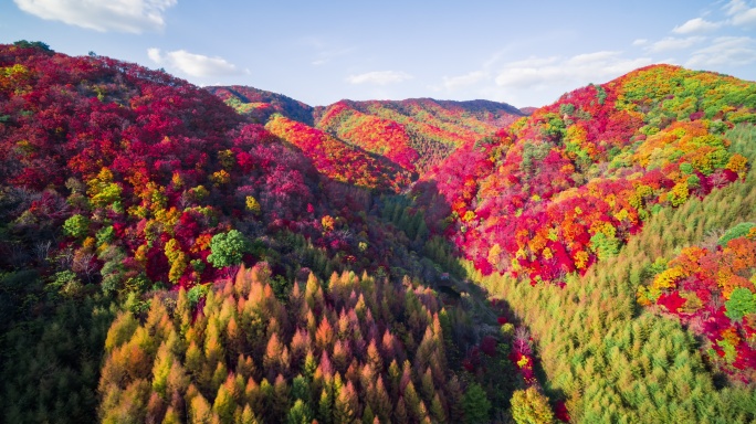 【高清6K】大自然秋景