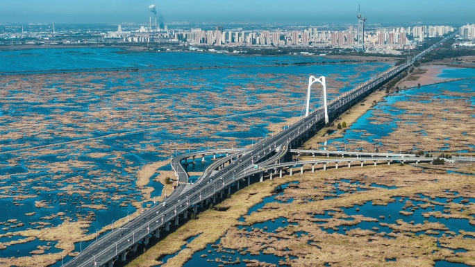 黑龙江大庆湿地大桥延时4K城市风景