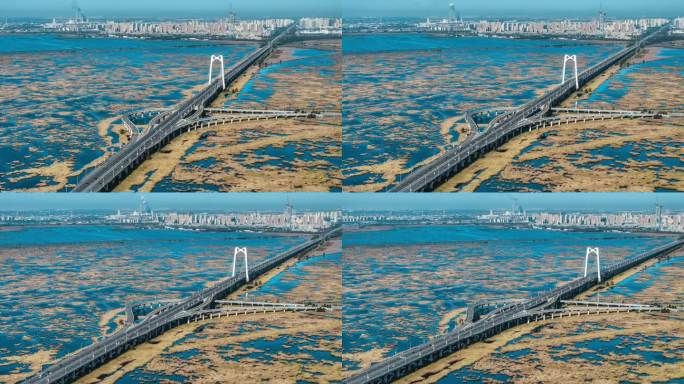 黑龙江大庆湿地大桥延时4K城市风景