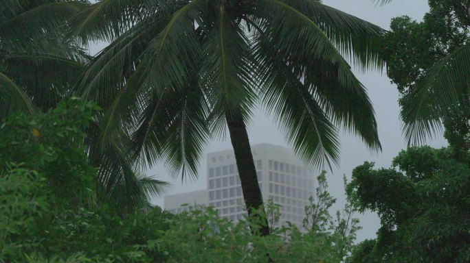 公园下雨天