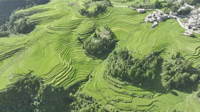 贵州，梯田