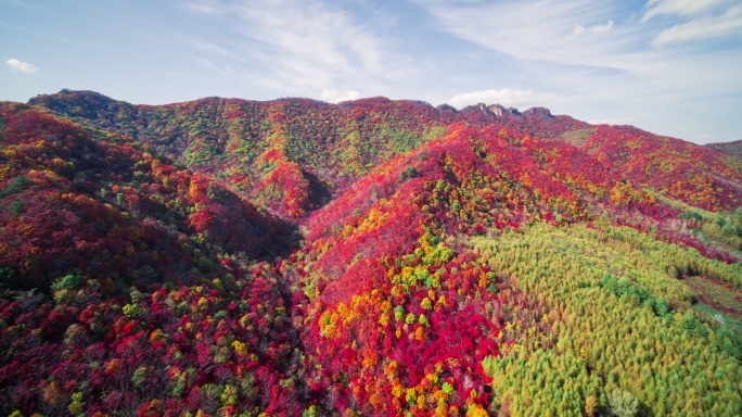 【高清6K】大自然秋景