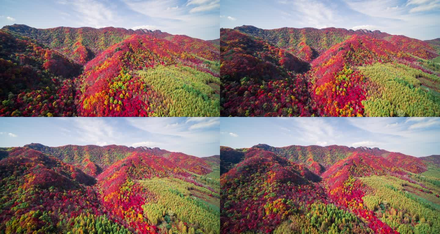 【高清6K】大自然秋景