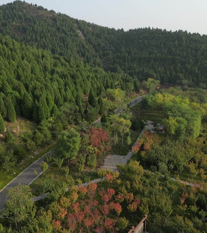 围子山郊野公园