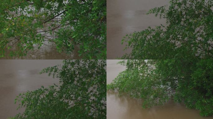 湖边雨景-慢镜头